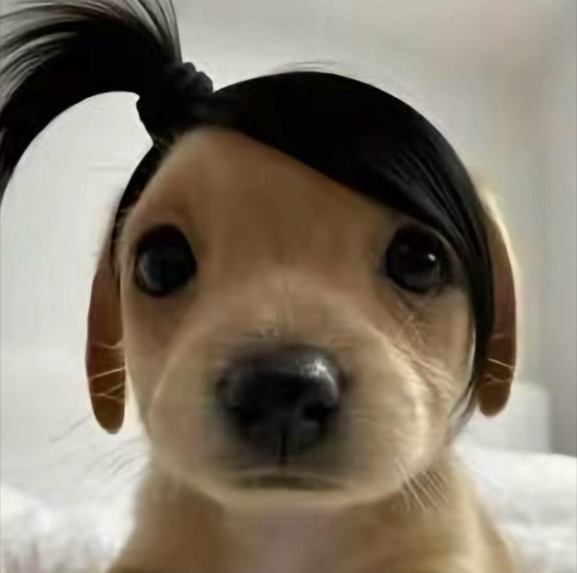 加载中
